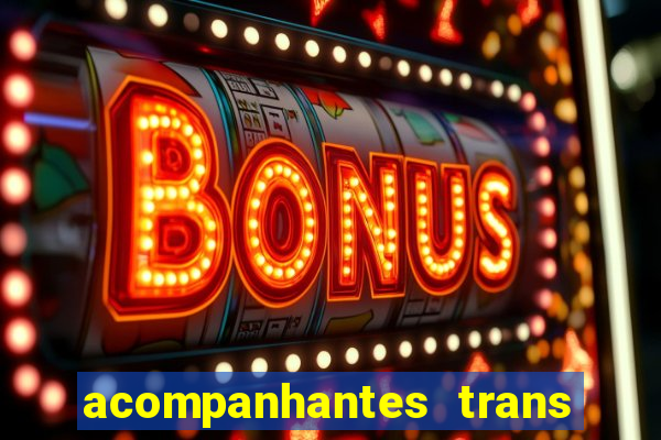 acompanhantes trans baixada fluminense